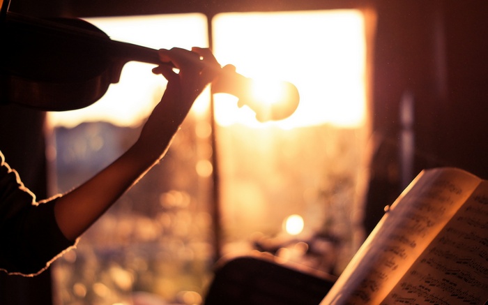 Violin player with music sheet at sunset