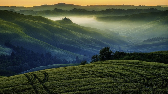 Rolling hills landscape with mist at sunset