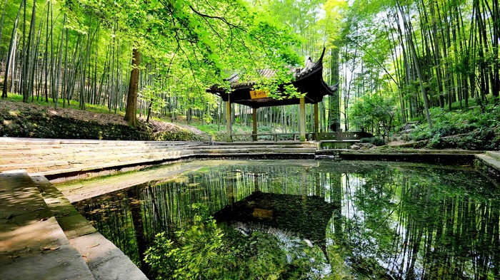 Traditional Chinese pavilion reflected in a pond surrounded by bamboo forest