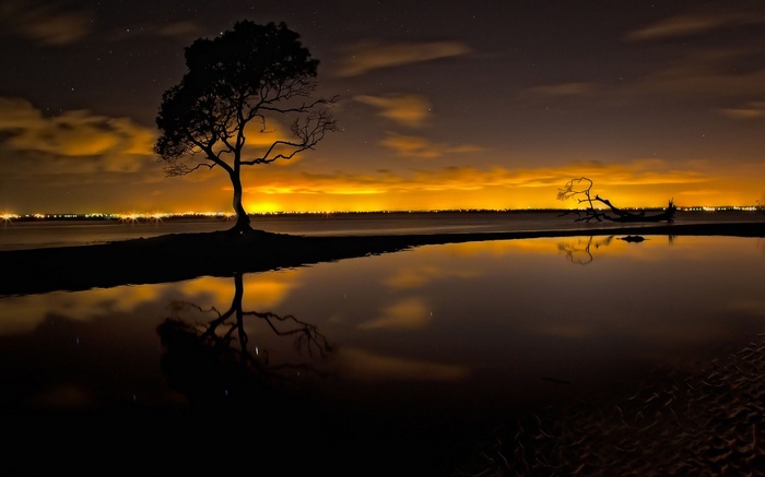 Silhouette of a tree reflected in water at night