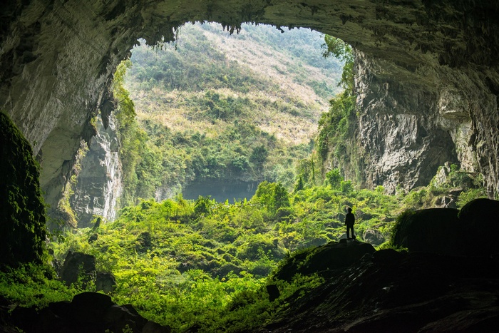 Person standing in a massive cave opening overlooking a jungle