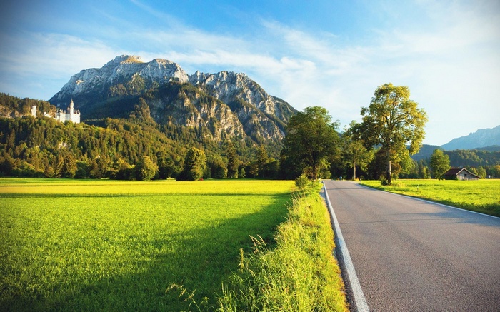 Neuschwanstein Castle on a mountain overlooking a green field