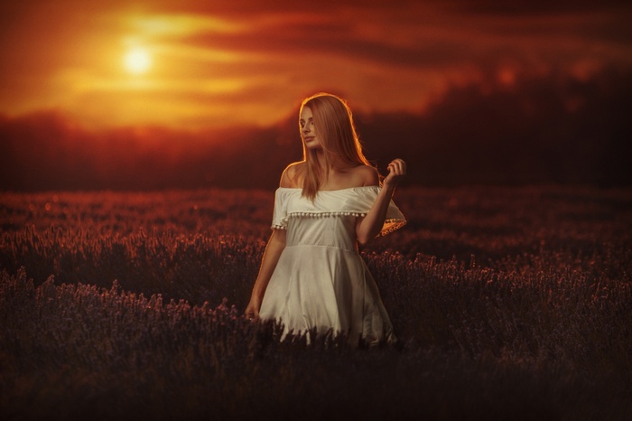 Woman in white dress in lavender field at sunset