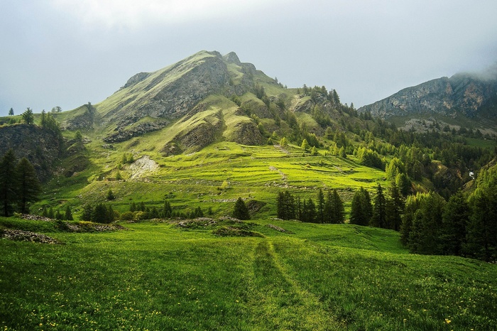 Green terraced mountains with trees under overcast sky
