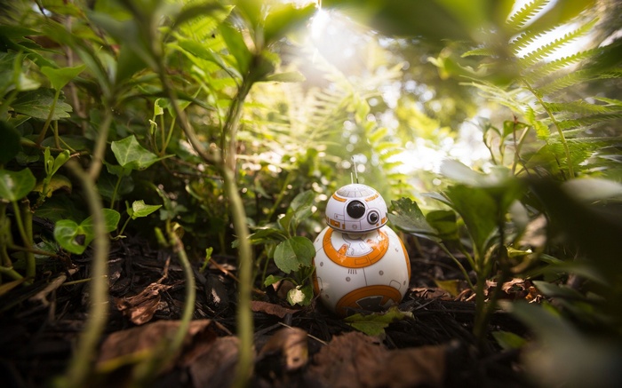 BB-8 Robot in a Lush Forest