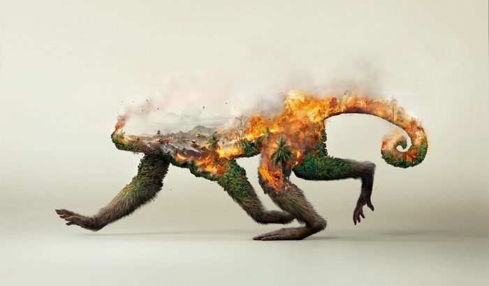 destruction, fire, forest, trees, monkey, artwork, double exposure, ecology, nature, palm trees, smoke, environment, digital art, animals