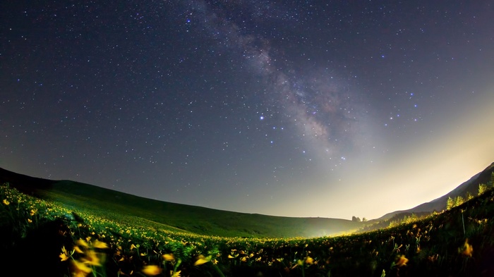 Milky Way over a field of yellow flowers