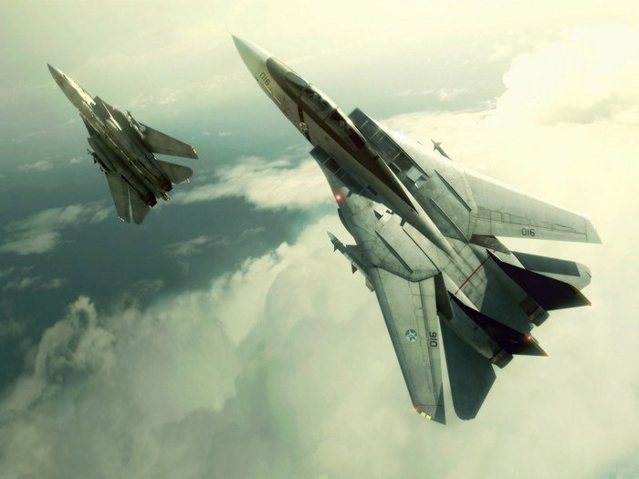 Grumman F-14 Tomcat aircraft in Ace Combat
