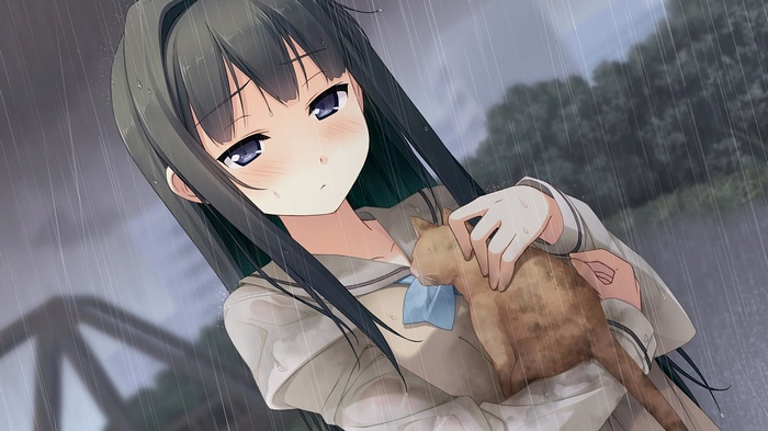 Anime girl holding a cat in the rain