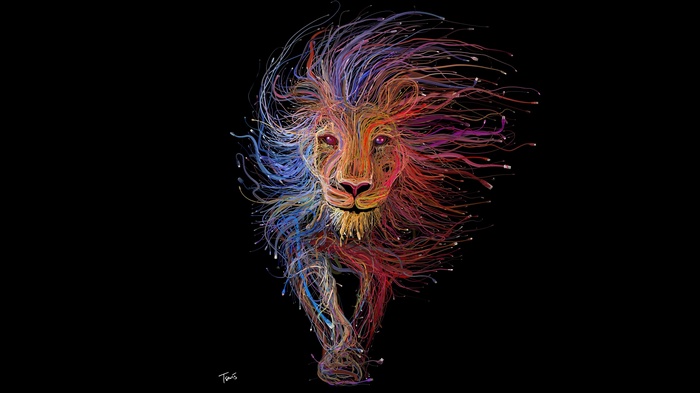 Colorful lion made of wires on a black background