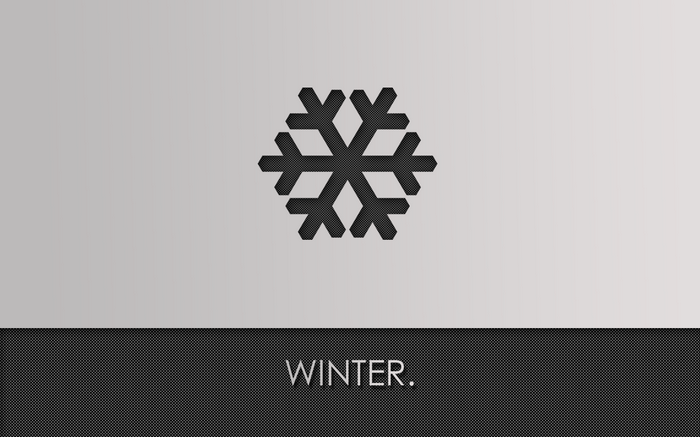 Minimalist snowflake icon with the word WINTER.