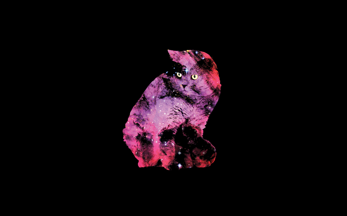Cat silhouette filled with a colorful galaxy