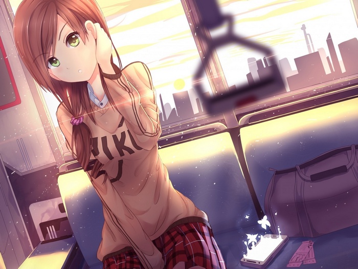 Anime girl with brown hair on a train