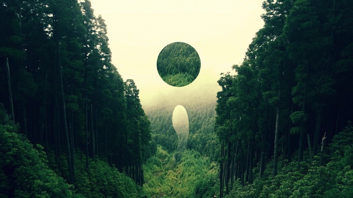 Abstract forest landscape with geometric shapes