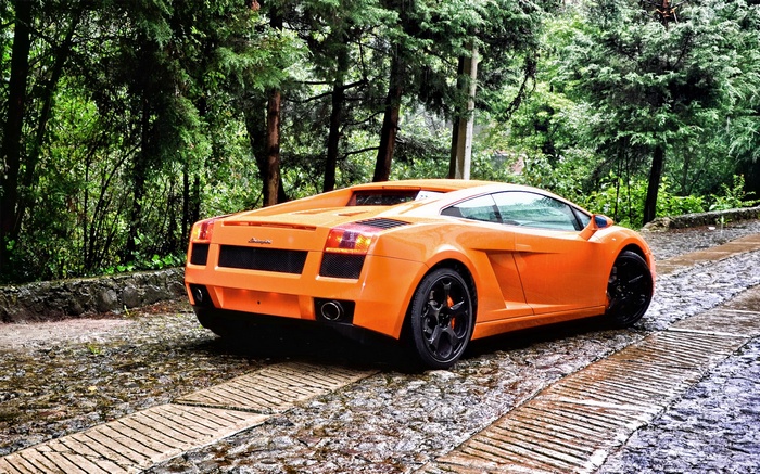 Orange Lamborghini parked on a wet forest road