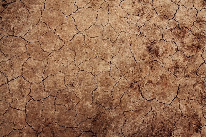Cracked dry earth texture with dark lines
