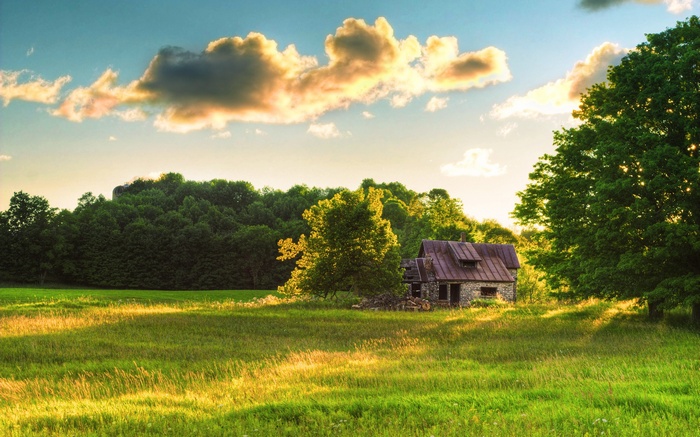 Stone cabin in a sunlit grassy field with trees