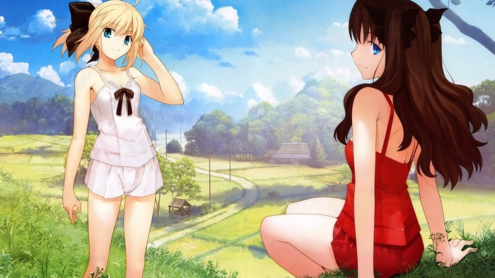 Saber and Tohsaka Rin in a field