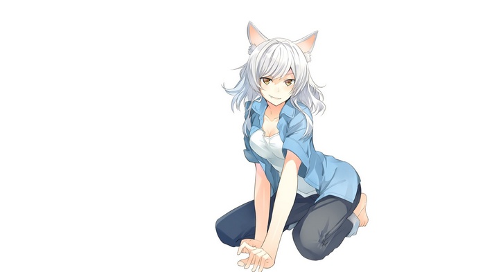 Hanekawa Tsubasa from Monogatari Series