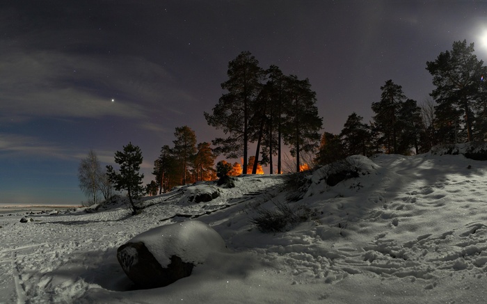 Snowy forest at night with stars and moon