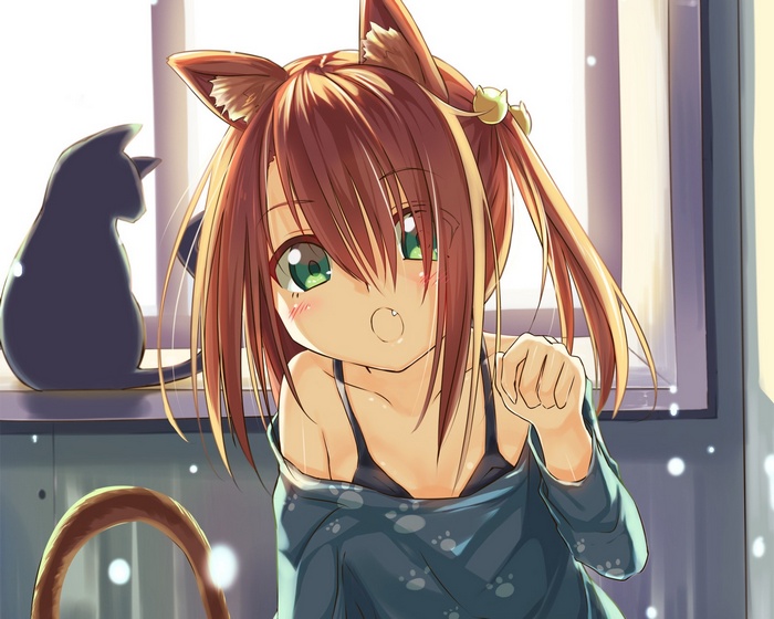 Nekomimi girl with a black cat by the window