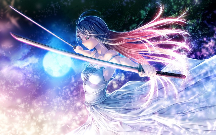 Anime girl with swords and flowing hair