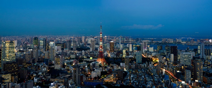 Tokyo cityscape at dusk with Tokyo Tower