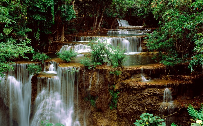 Tiered waterfall in a lush green forest