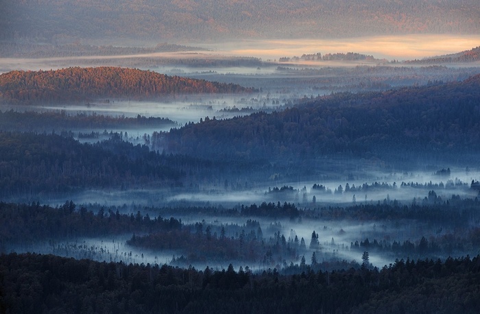 Misty forest landscape in Germany at sunrise