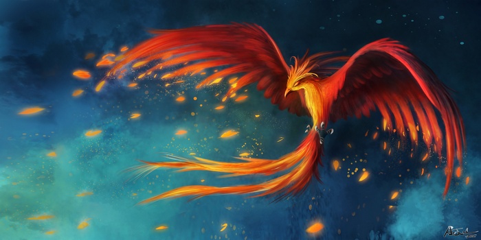 A fiery phoenix flies through a dark blue sky
