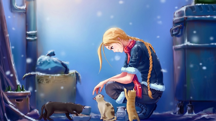Cammy White feeding cats in the snow