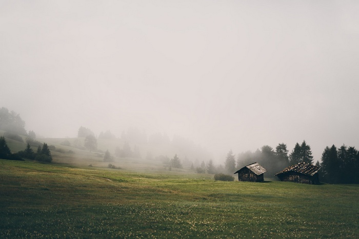 Two wooden houses on a grassy hill in the fog
