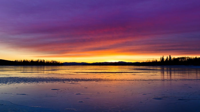 Sunset over a frozen lake with silhouetted trees