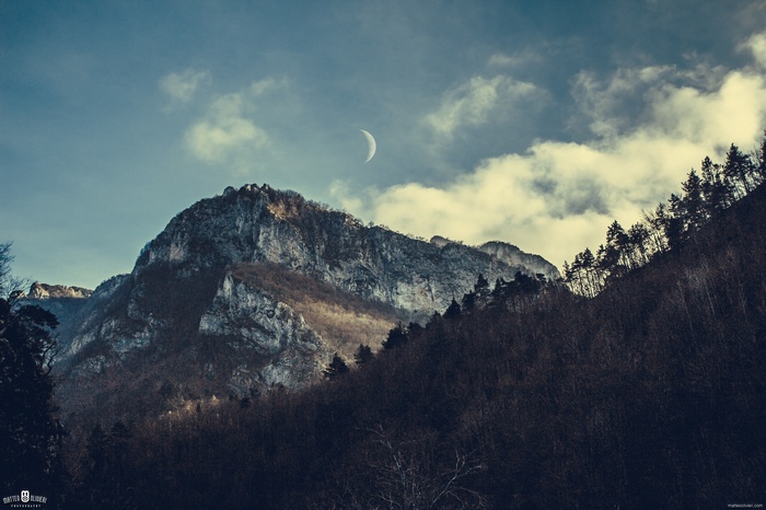 Crescent moon over rocky mountains and dark forest