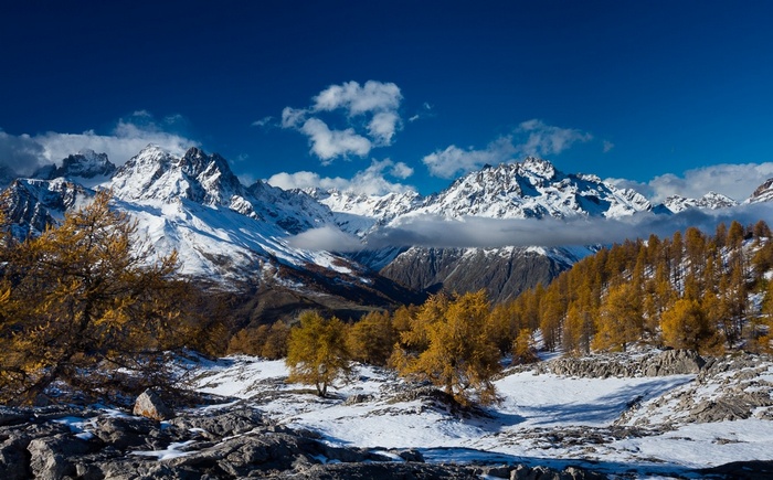 snowy peak, mountains, snow, sky, blue, winter, France, sunlight, trees, landscape, nature
