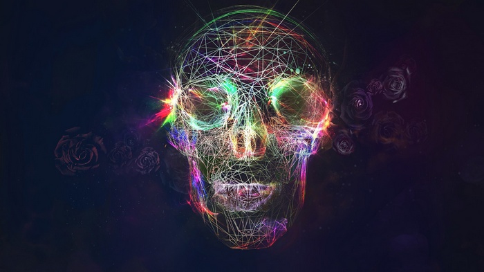 Colorful geometric skull with dark roses