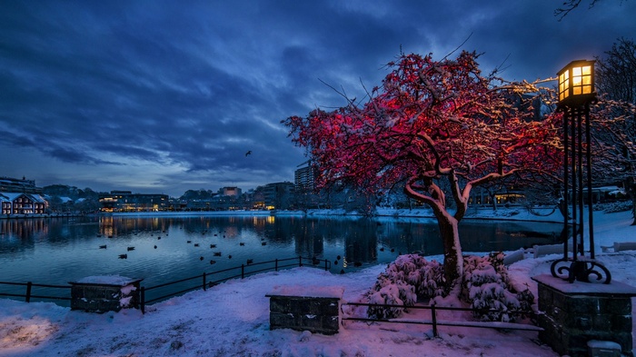 Winter evening by a lake in Norway with snow and lights