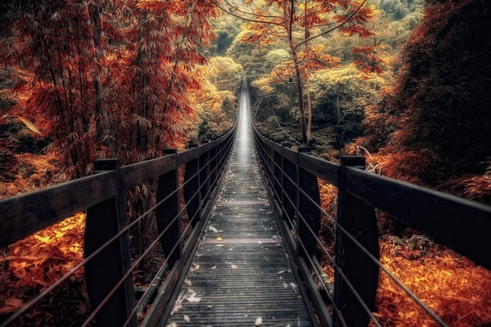 Suspension bridge through a forest in autumn