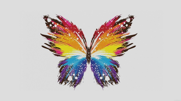 Colorful butterfly with paint splatter effect