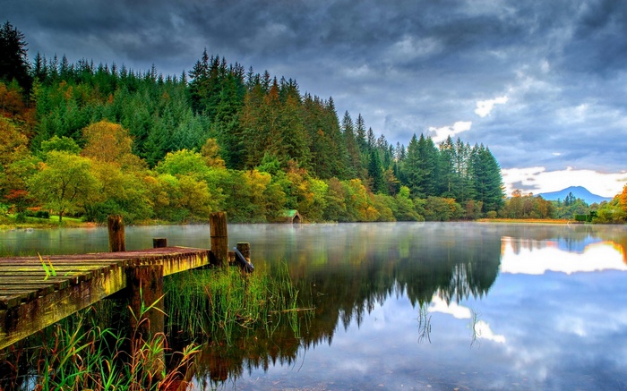 Wooden dock on a misty lake with a forest background