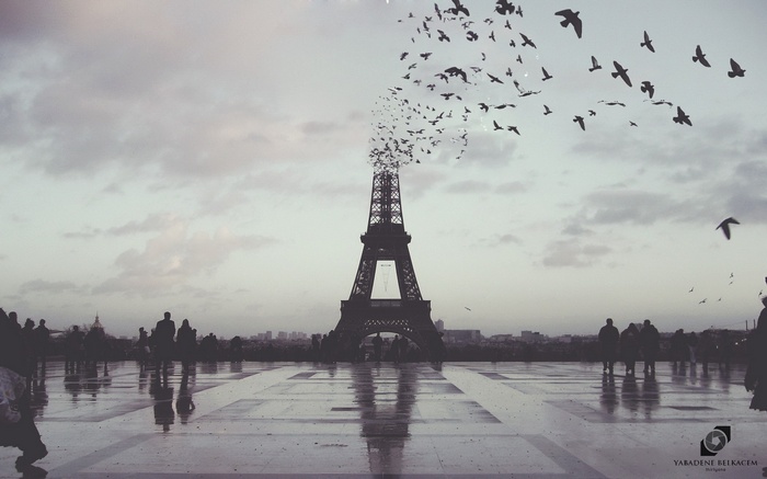 Eiffel Tower with birds flying out of it in Paris