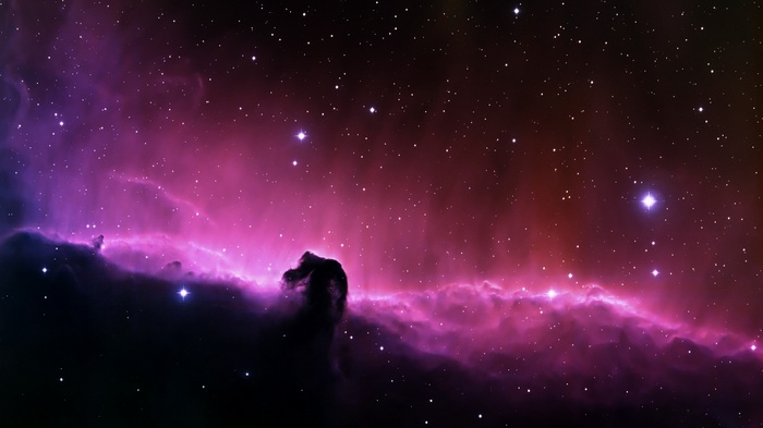 The Horsehead Nebula in space with stars