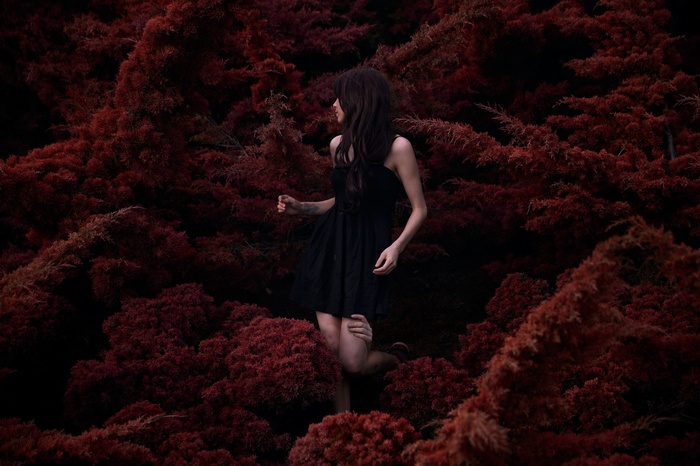 Woman in black dress among red bushes