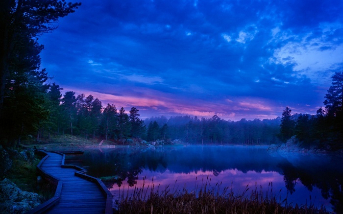 Wooden boardwalk by a misty lake at twilight