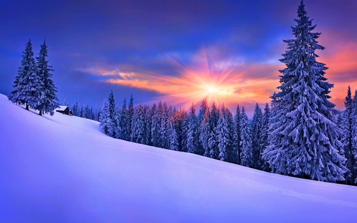 Winter sunset over snow-covered pine forest landscape