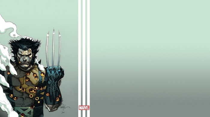 Wolverine from Marvel Comics