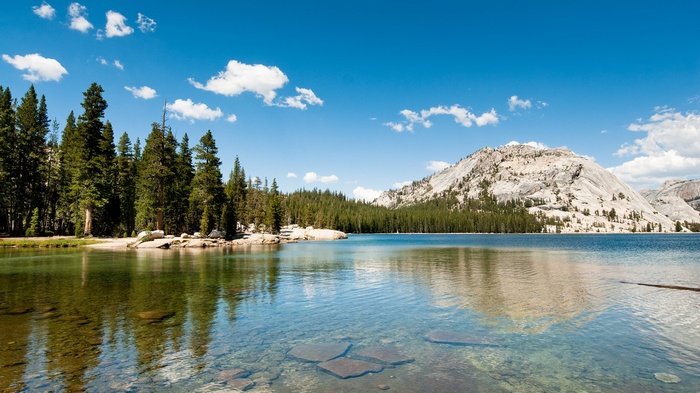 Yosemite National Park lake with pine trees and mountains