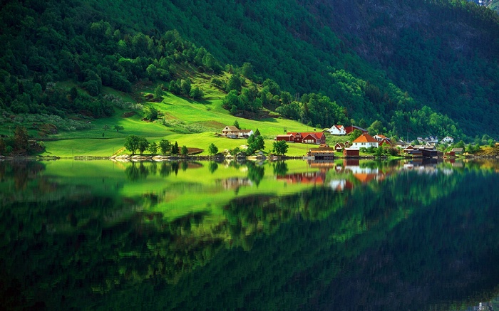 Nordic landscape with a village by the water