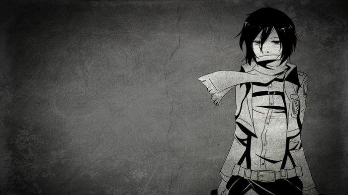 Mikasa Ackerman from Attack on Titan