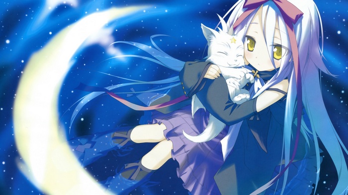 Mare S. Ephemeral and cat in starry night